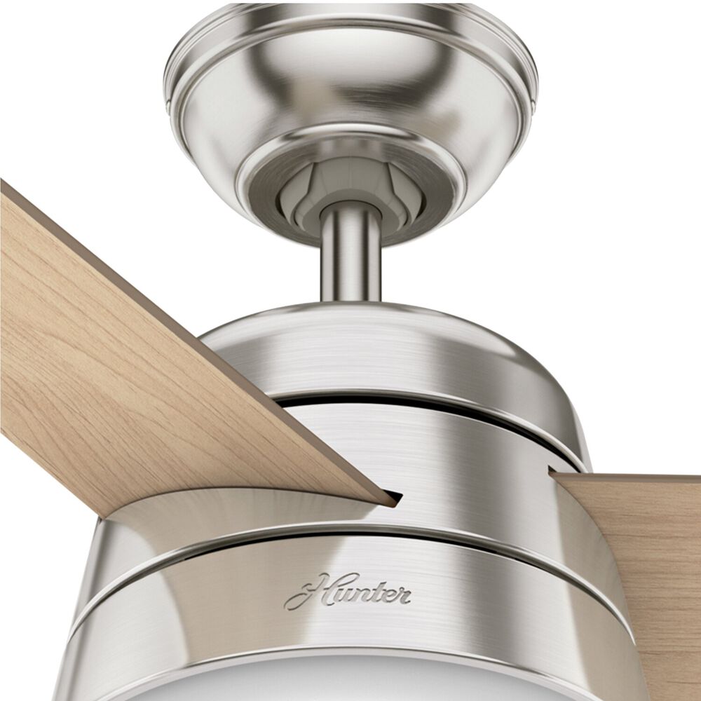 Ventilador Techo Finley 36 image number 5.0